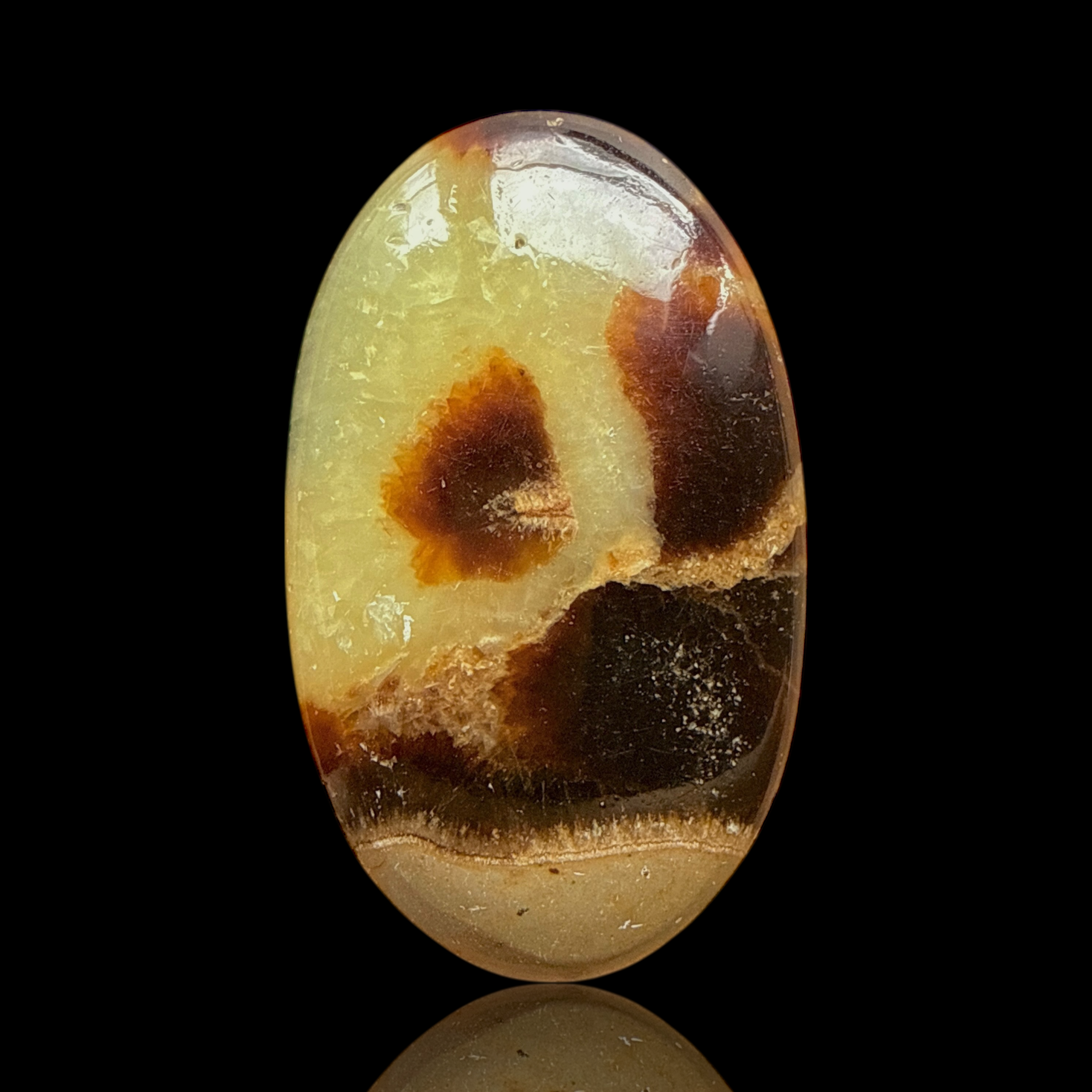 Cabochon Septaria Jaune