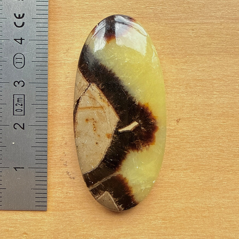 Cabochon Septaria Jaune
