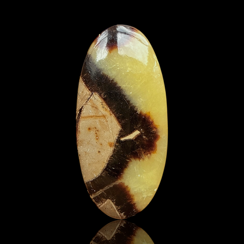 Cabochon Septaria Jaune