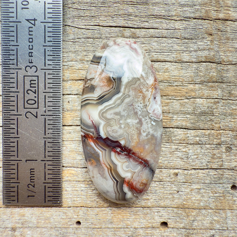 Cabochon Agate Crazy Lace