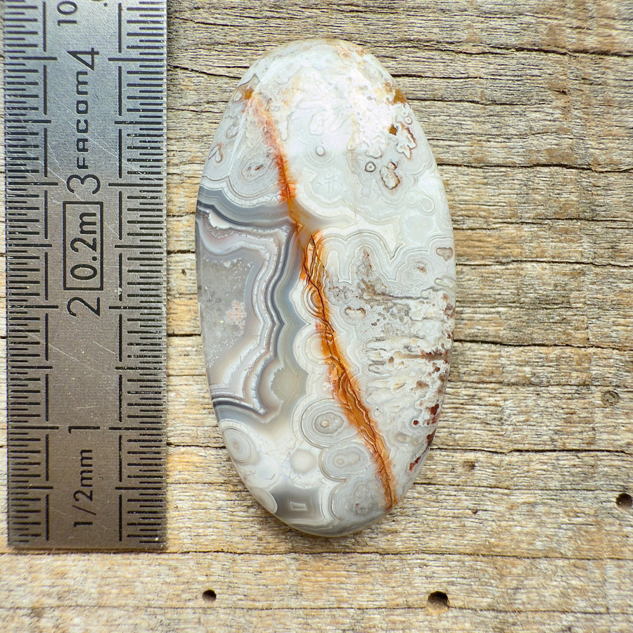 Cabochon Agate Crazy Lace