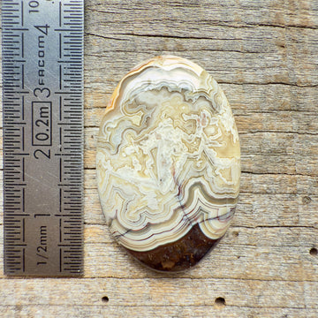 Cabochon Agate Crazy Lace