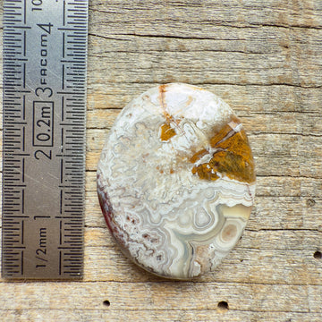 Cabochon Agate Crazy Lace