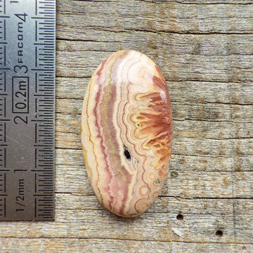 Cabochon Rhodochrosite