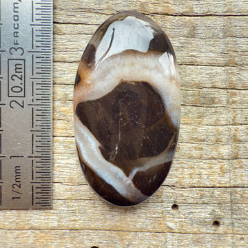 Cabochon Septarian Marron