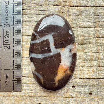 Cabochon Septarian Marron