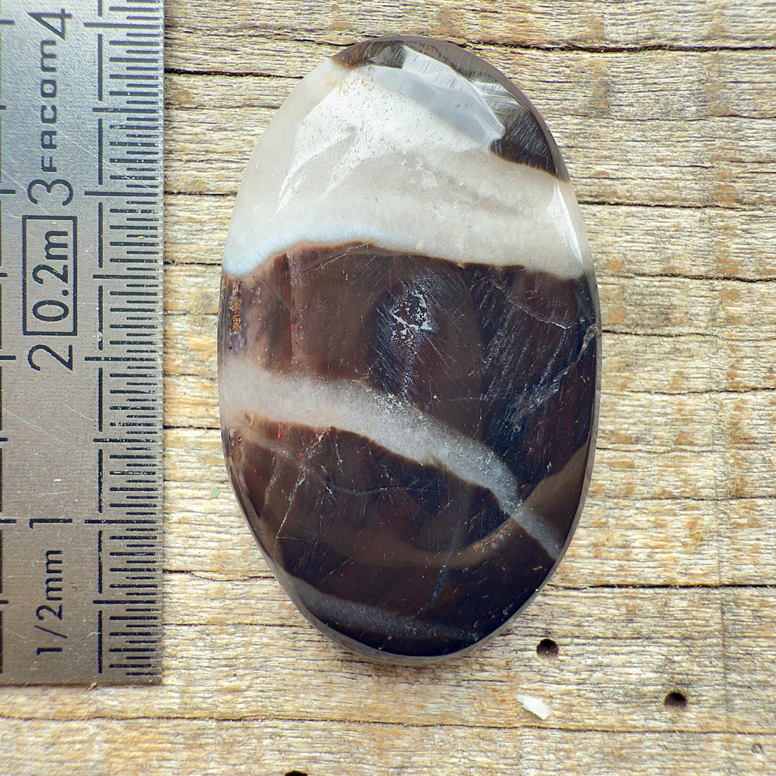 Cabochon Septarian Marron