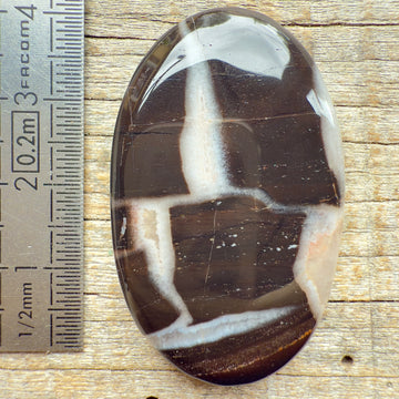 Cabochon Septarian Marron