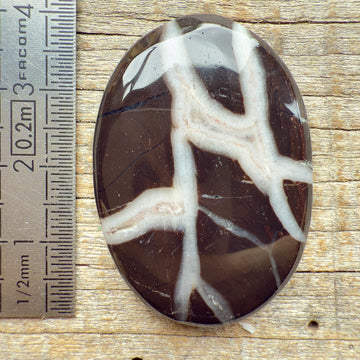 Cabochon Septarian Marron