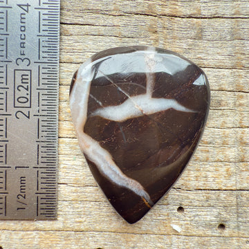 Cabochon Septarian Marron