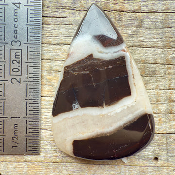 Cabochon Septarian Marron