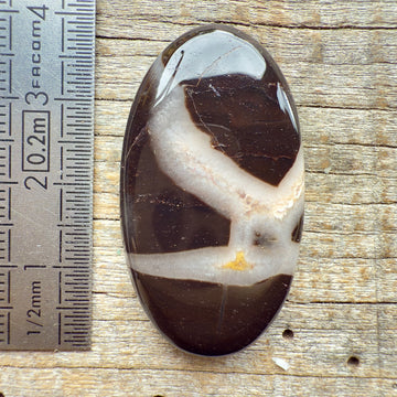 Cabochon Septarian Marron