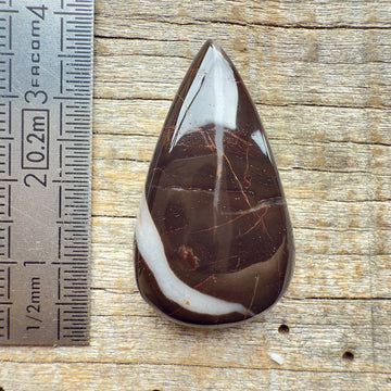 Cabochon Septarian Marron