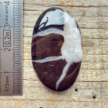 Cabochon Septarian Marron