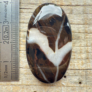 Cabochon Septarian Marron