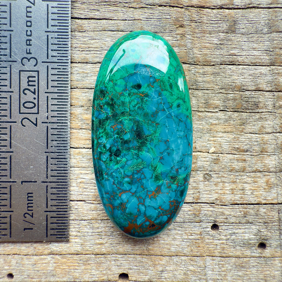 Cabochon Chrysocolle HQ