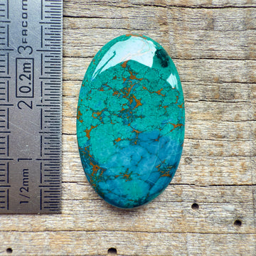 Cabochon Chrysocolle HQ