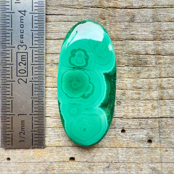 Cabochon Malachite