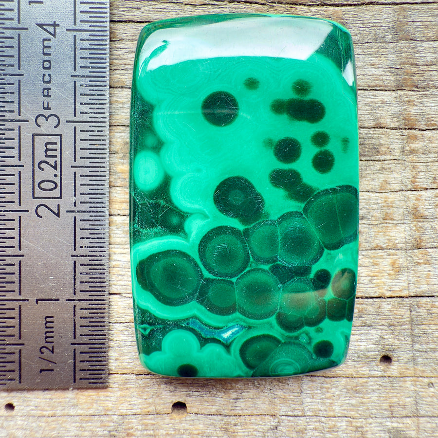 Cabochon Malachite