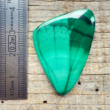 Cabochon Malachite