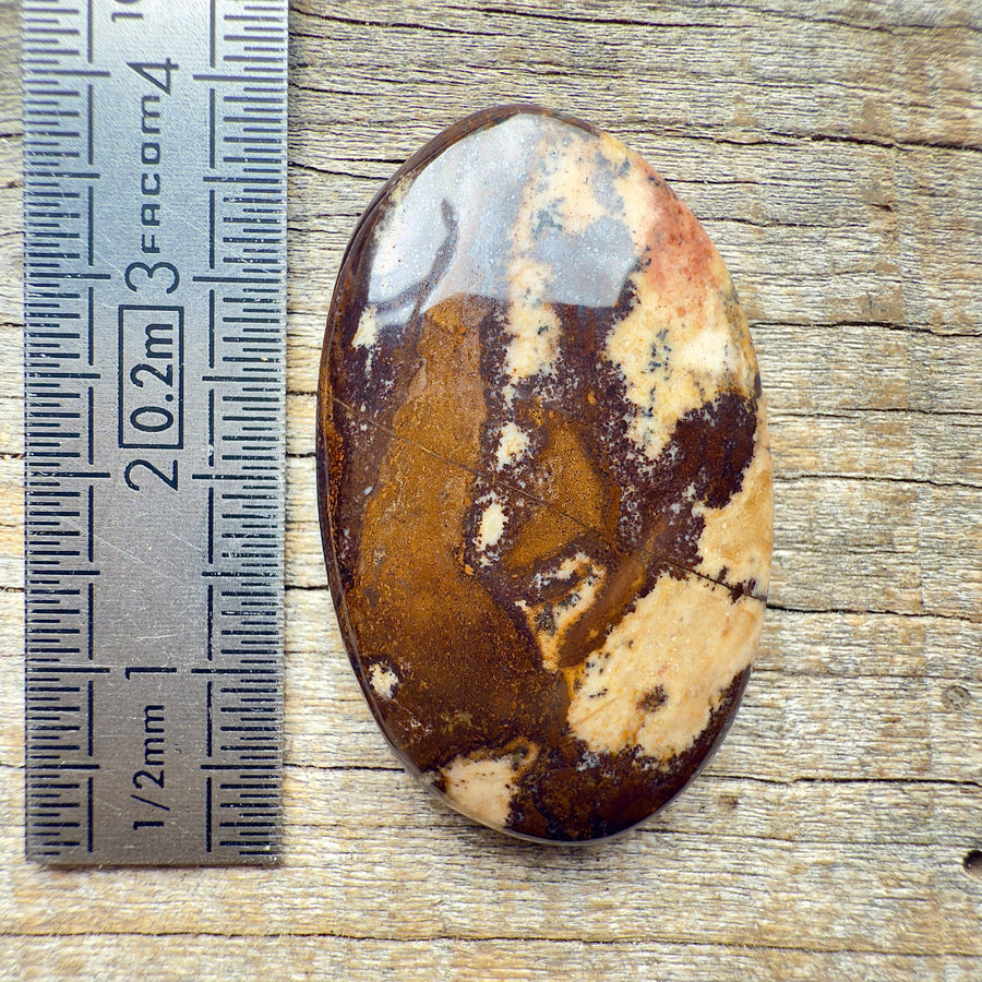 Cabochon Jaspe Outback