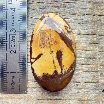 Cabochon Jaspe Outback