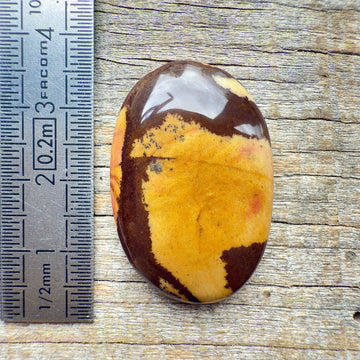 Cabochon Jaspe Outback