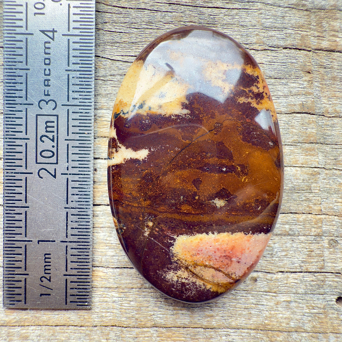 Cabochon Jaspe Outback