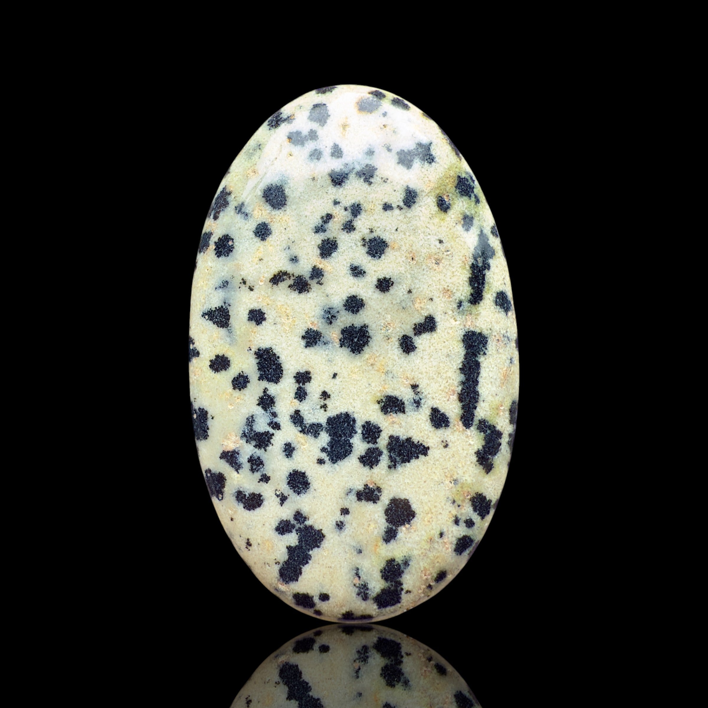 Cabochon Jaspe Dalmatien