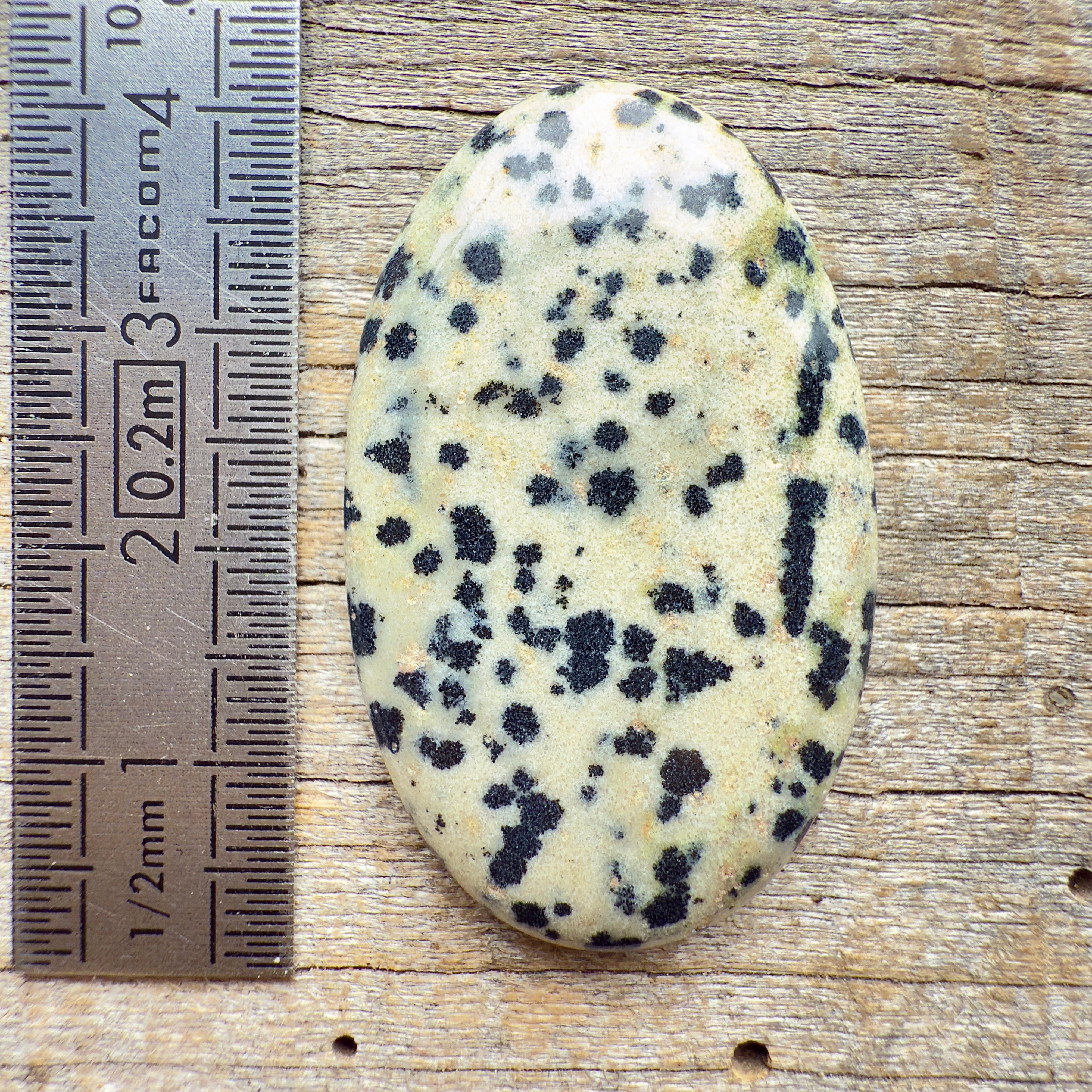 Cabochon Jaspe Dalmatien