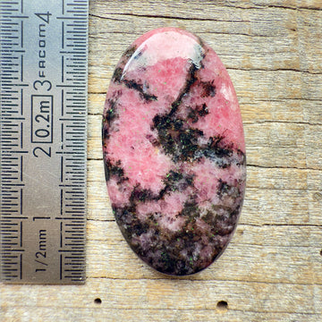 Cabochon Rhodonite