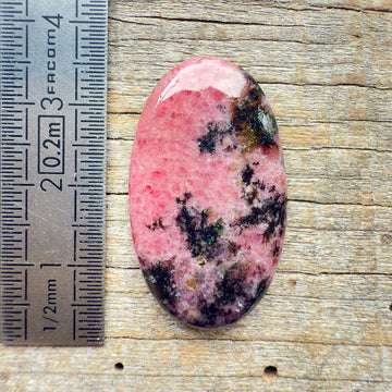 Cabochon Rhodonite