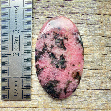 Cabochon Rhodonite