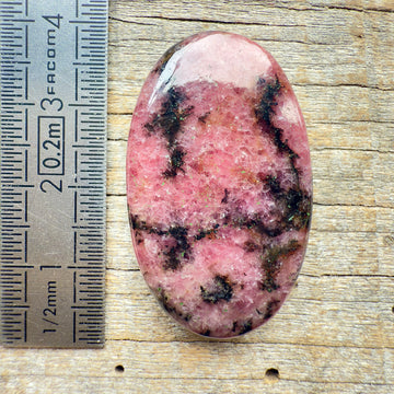 Cabochon Rhodonite