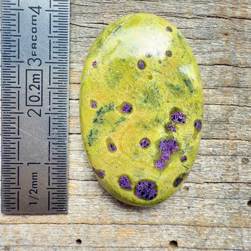 Cabochon Atlantisite