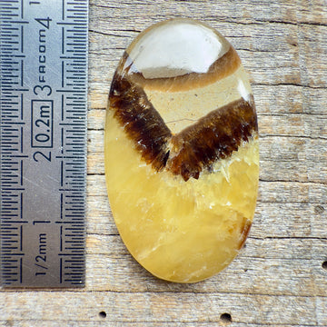 Cabochon Septaria