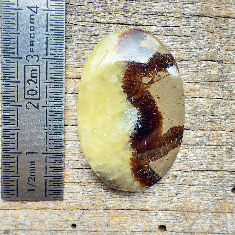 Cabochon Septaria