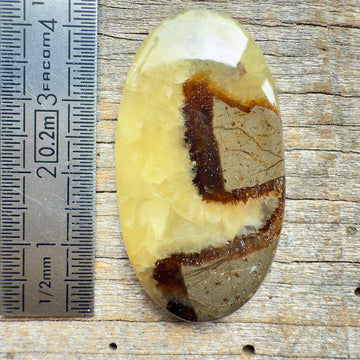 Cabochon Septaria