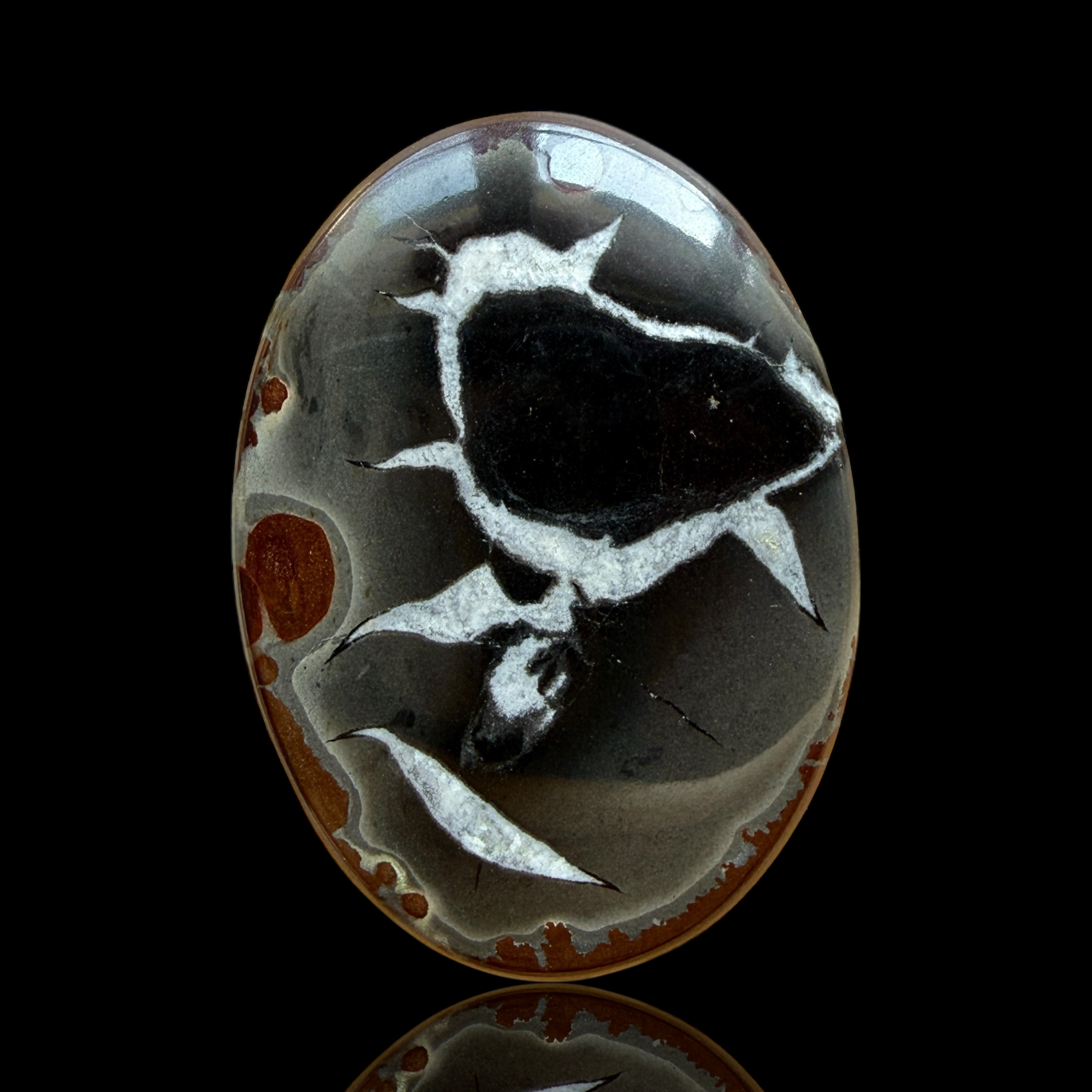 Cabochon Septaria Noire