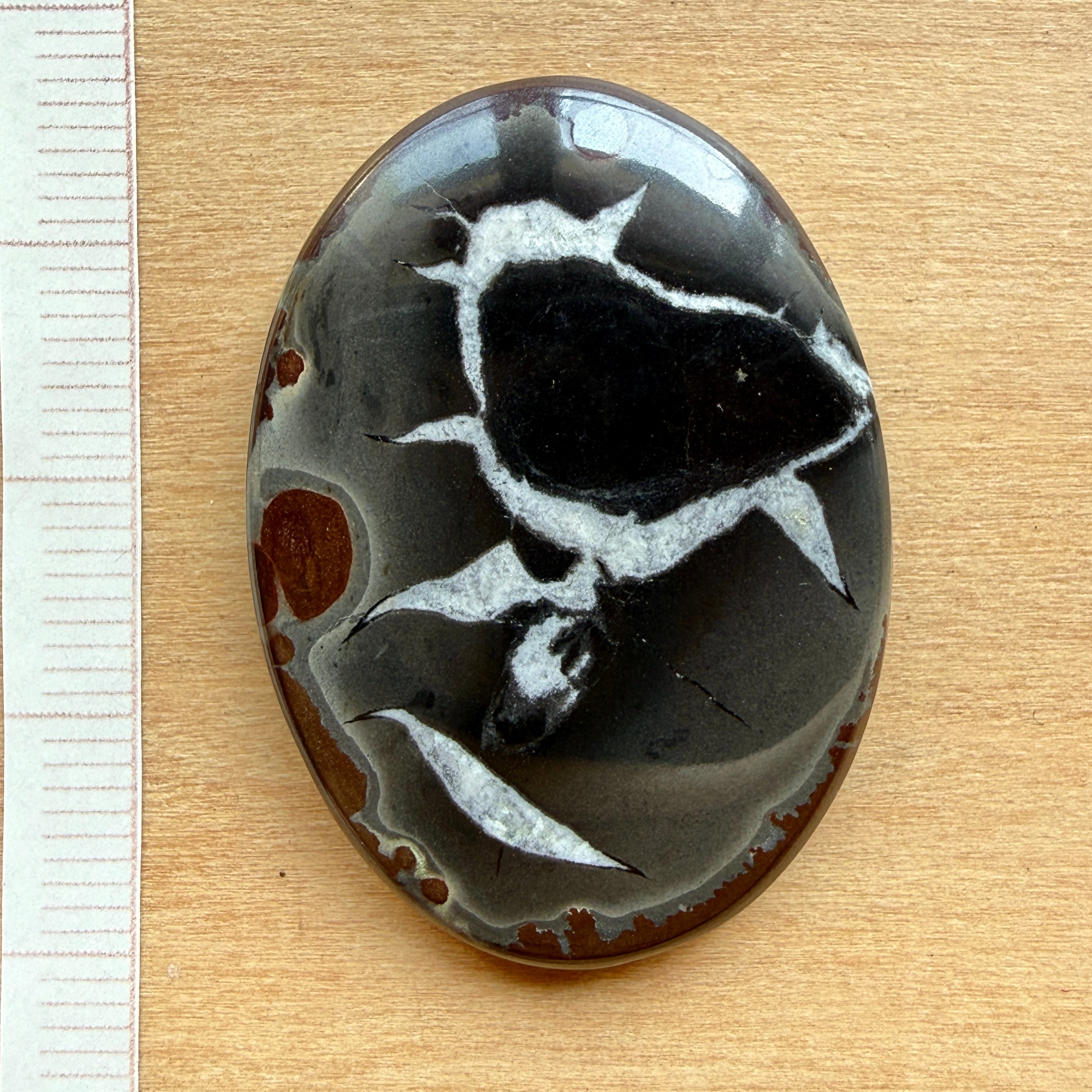 Cabochon Septaria Noire