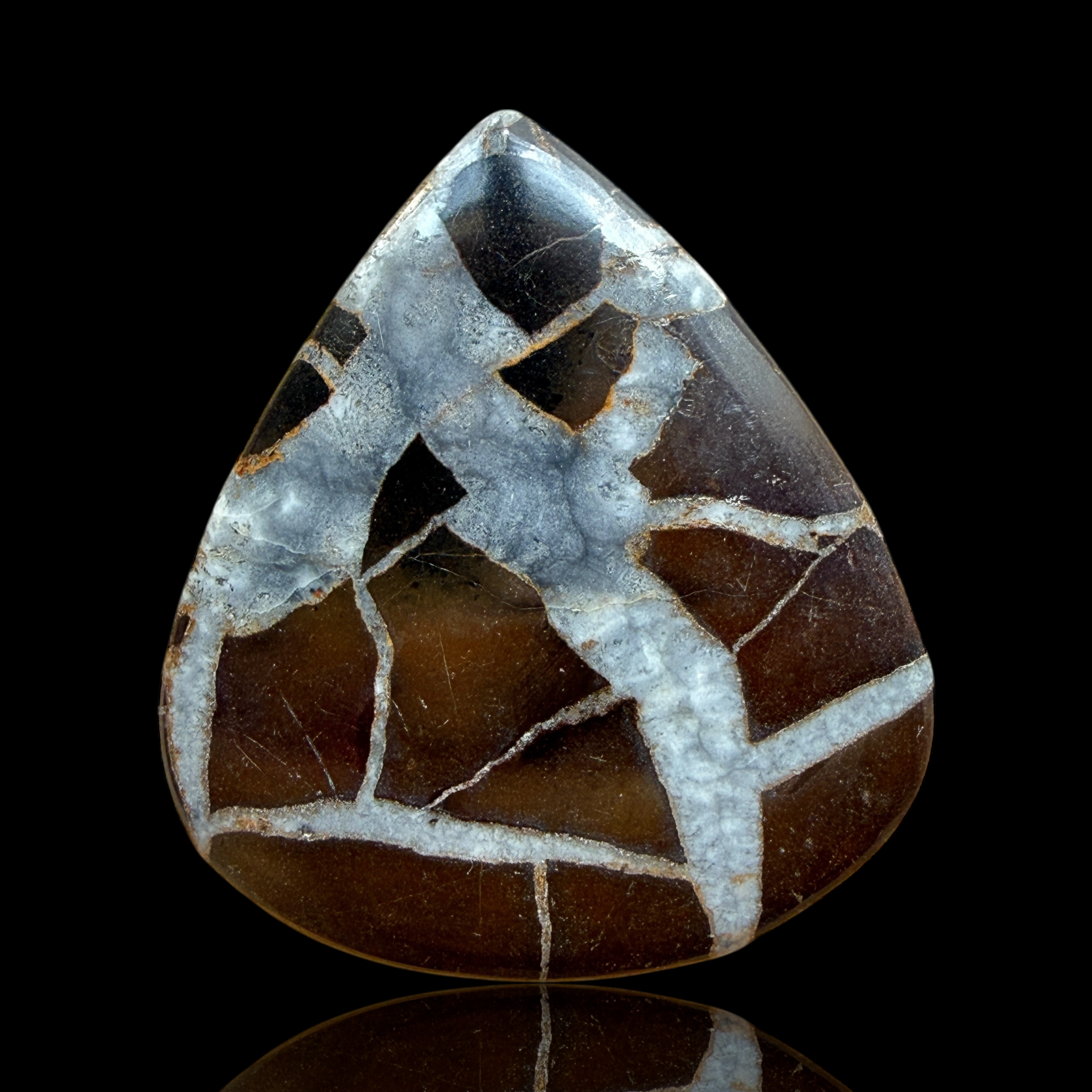 Cabochon Septaria Noire