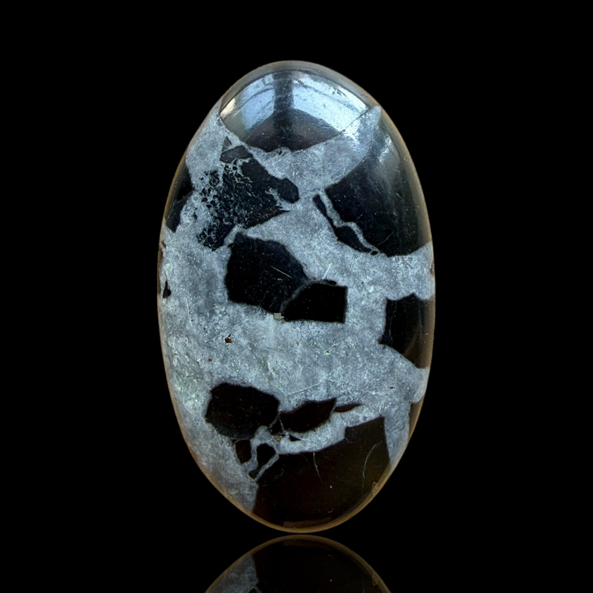 Cabochon Septaria Noire