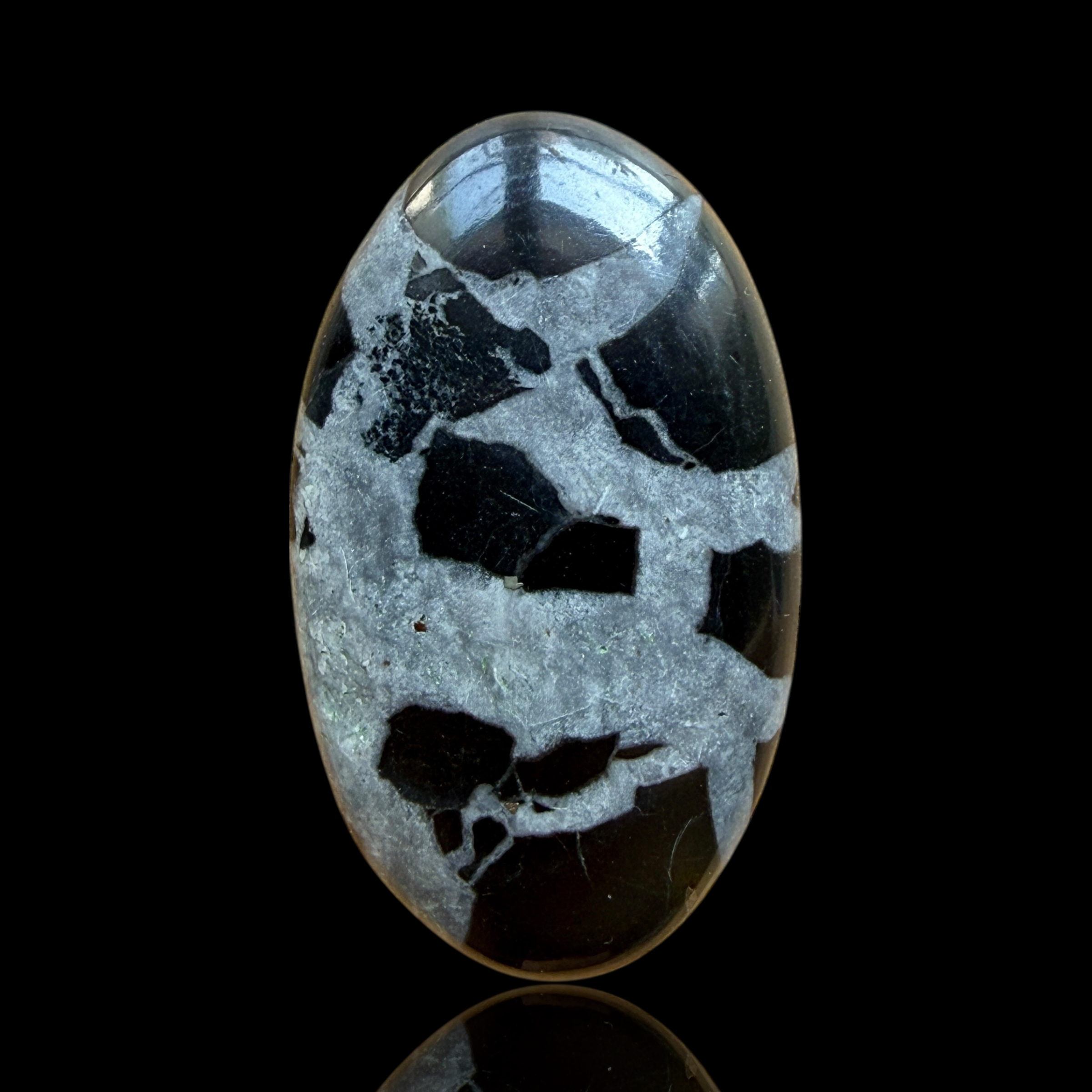 Cabochon Septaria Noire