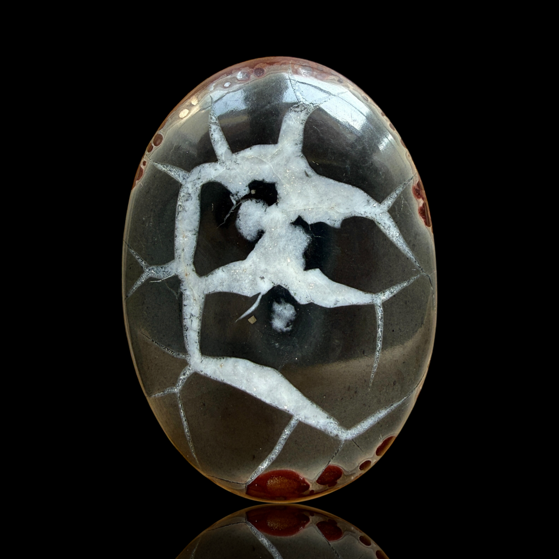 Cabochon Septaria Noire