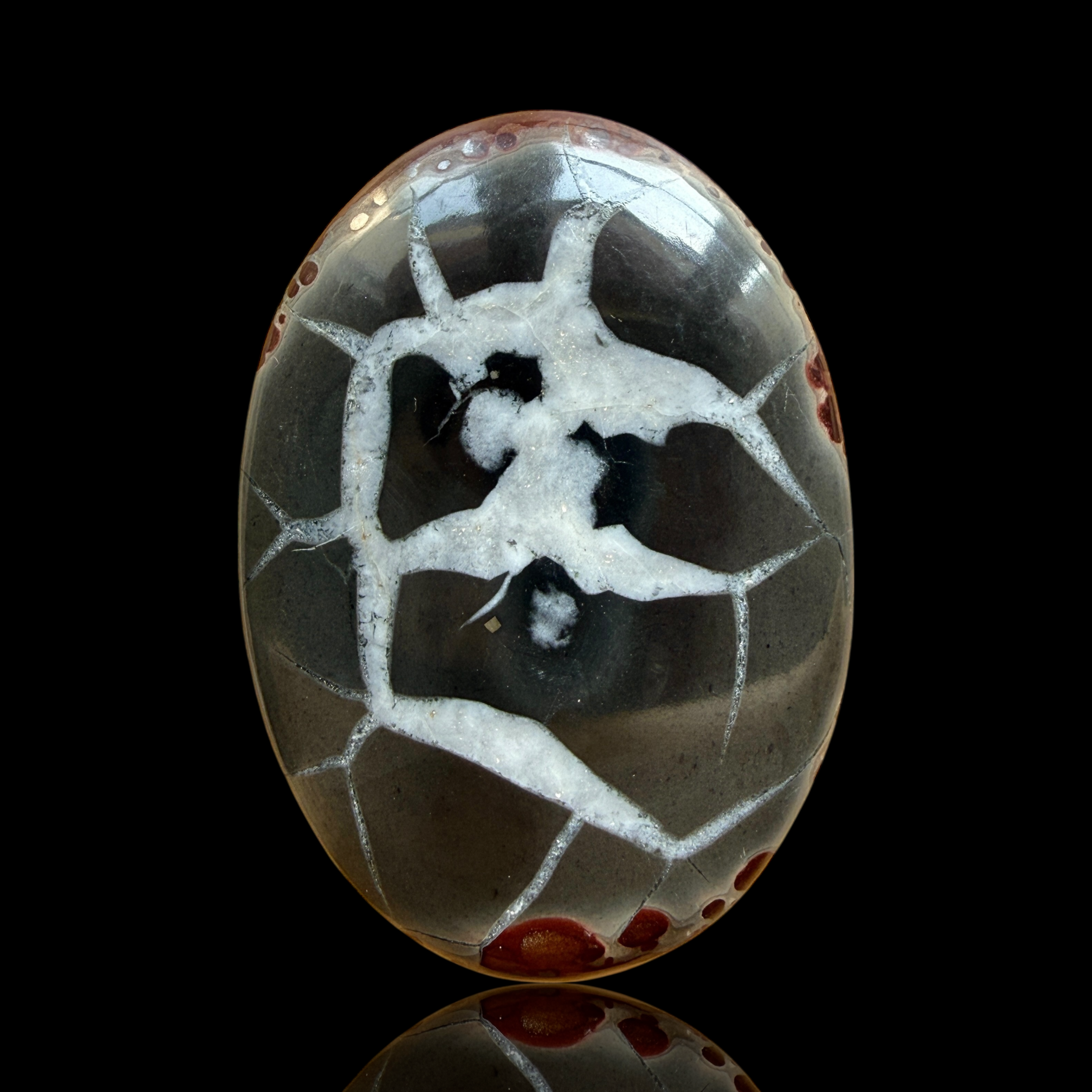 Cabochon Septaria Noire