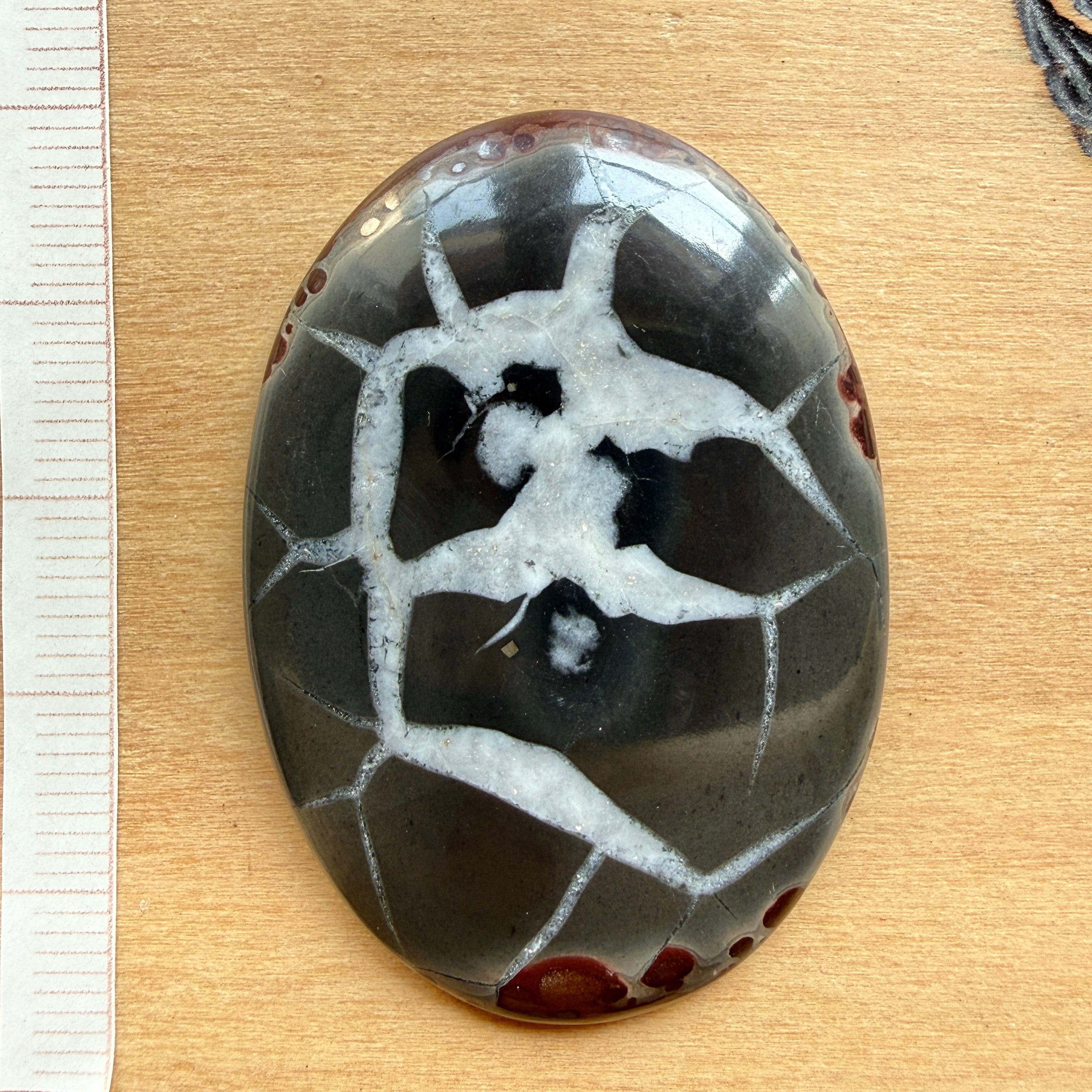 Cabochon Septaria Noire