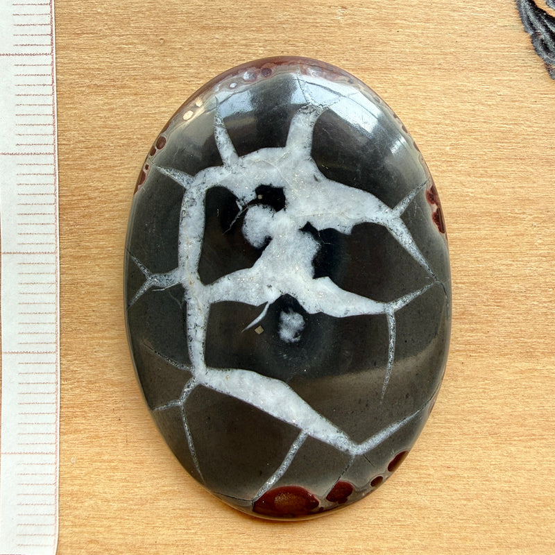 Cabochon Septaria Noire