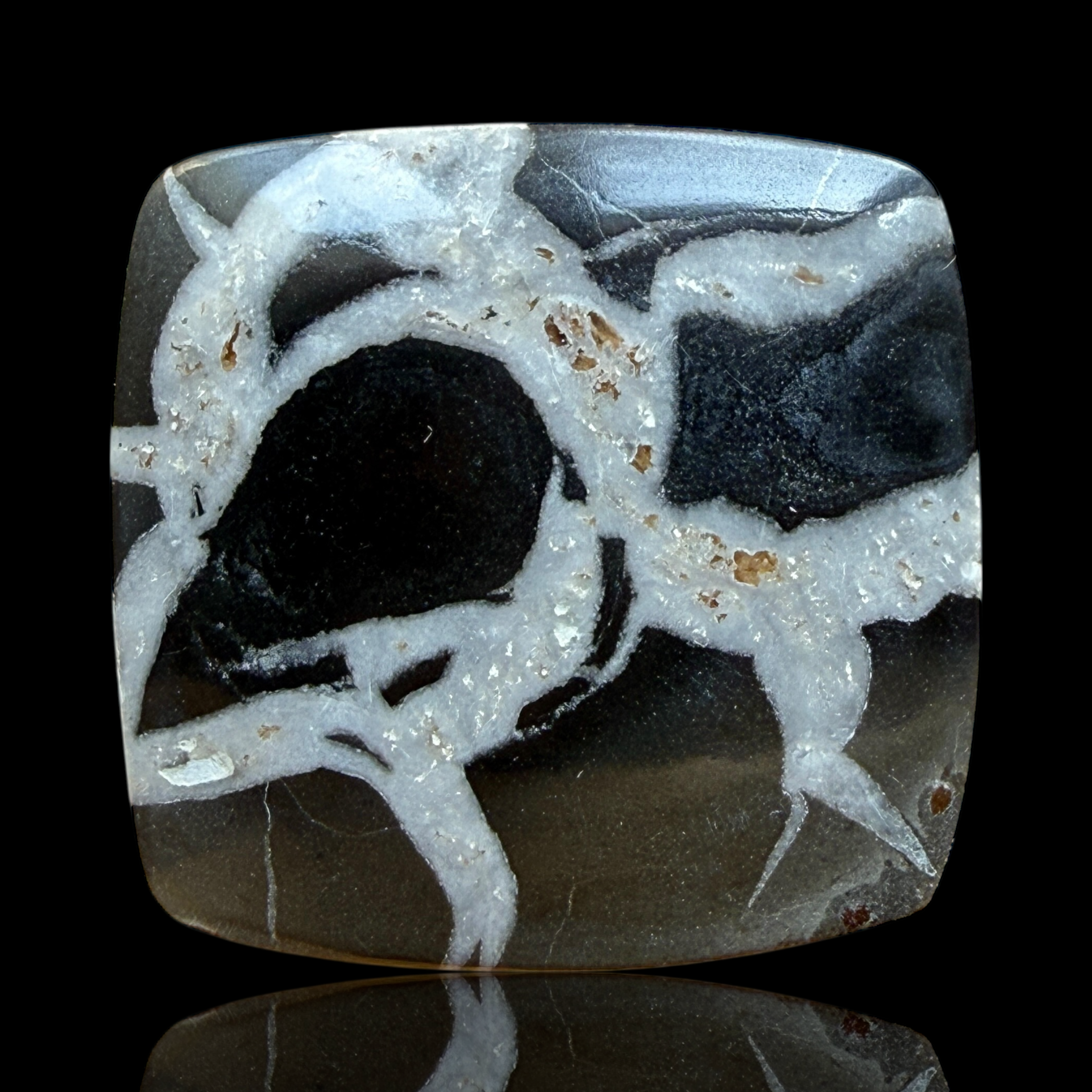 Cabochon Septaria Noire