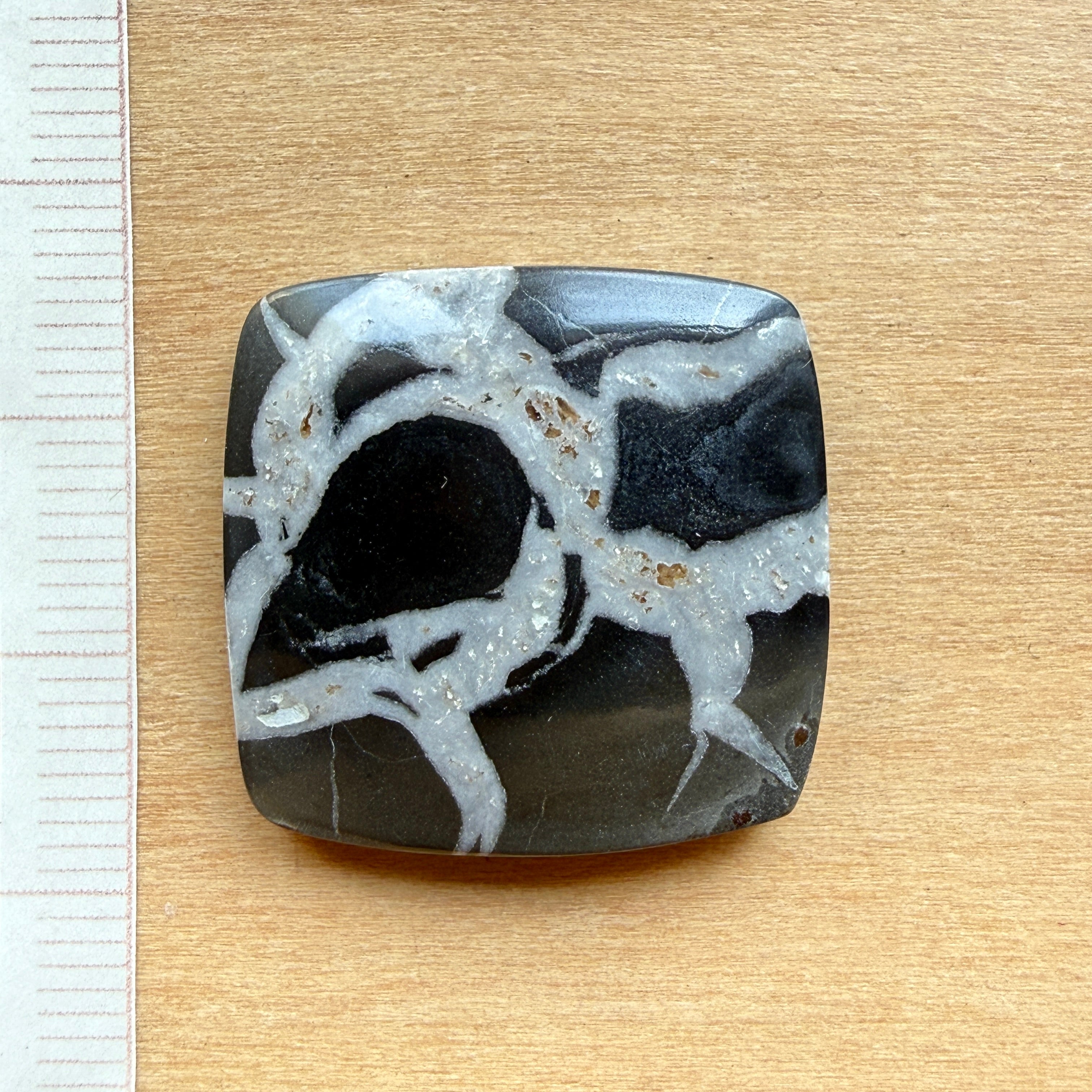 Cabochon Septaria Noire