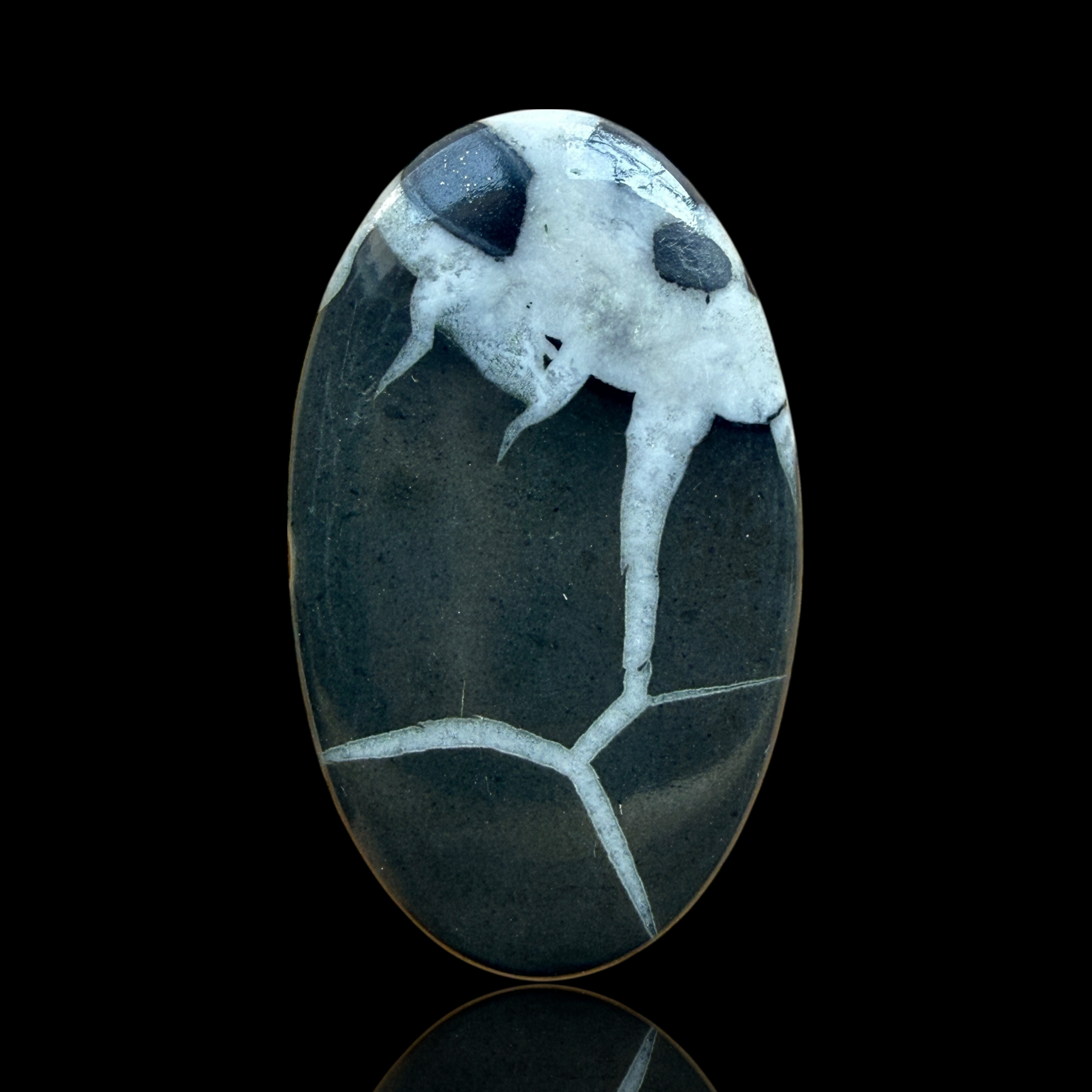 Cabochon Septaria Noire